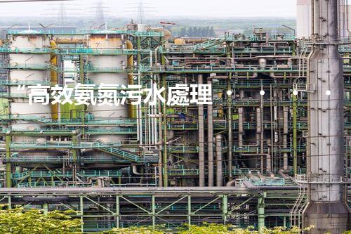 “高效氨氮污水處理，綠色環(huán)保新篇章”